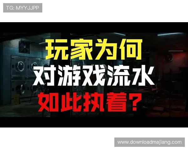专业真人现场娱乐城平台保障玩家安全，享受公平公正的游戏环境与优质服务